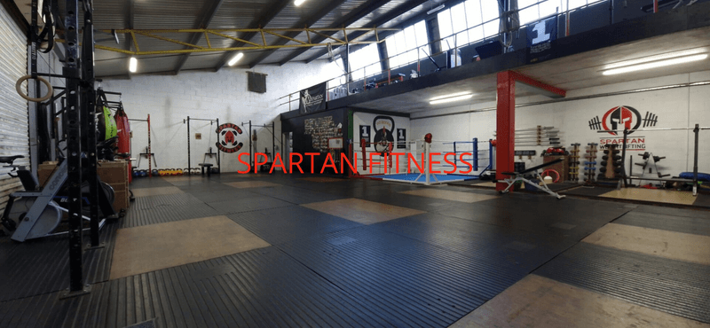 Spartan Fitness Ennis logo