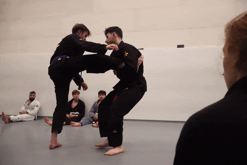 Main image of Stark Gent BJJ - Brazilian Jiu-Jitsu Gi & No-Gi