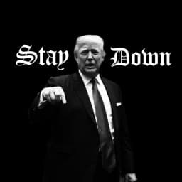 Stay Down Ajj logo