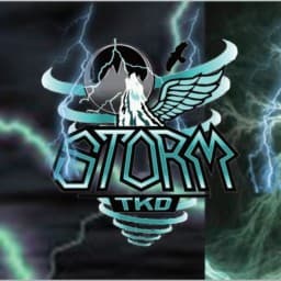 Storm Martial Arts Academy logo