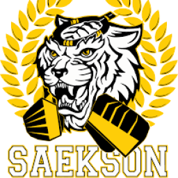Street sports Van nuys logo