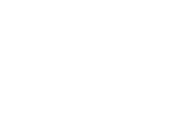 Striking Paris Xv logo