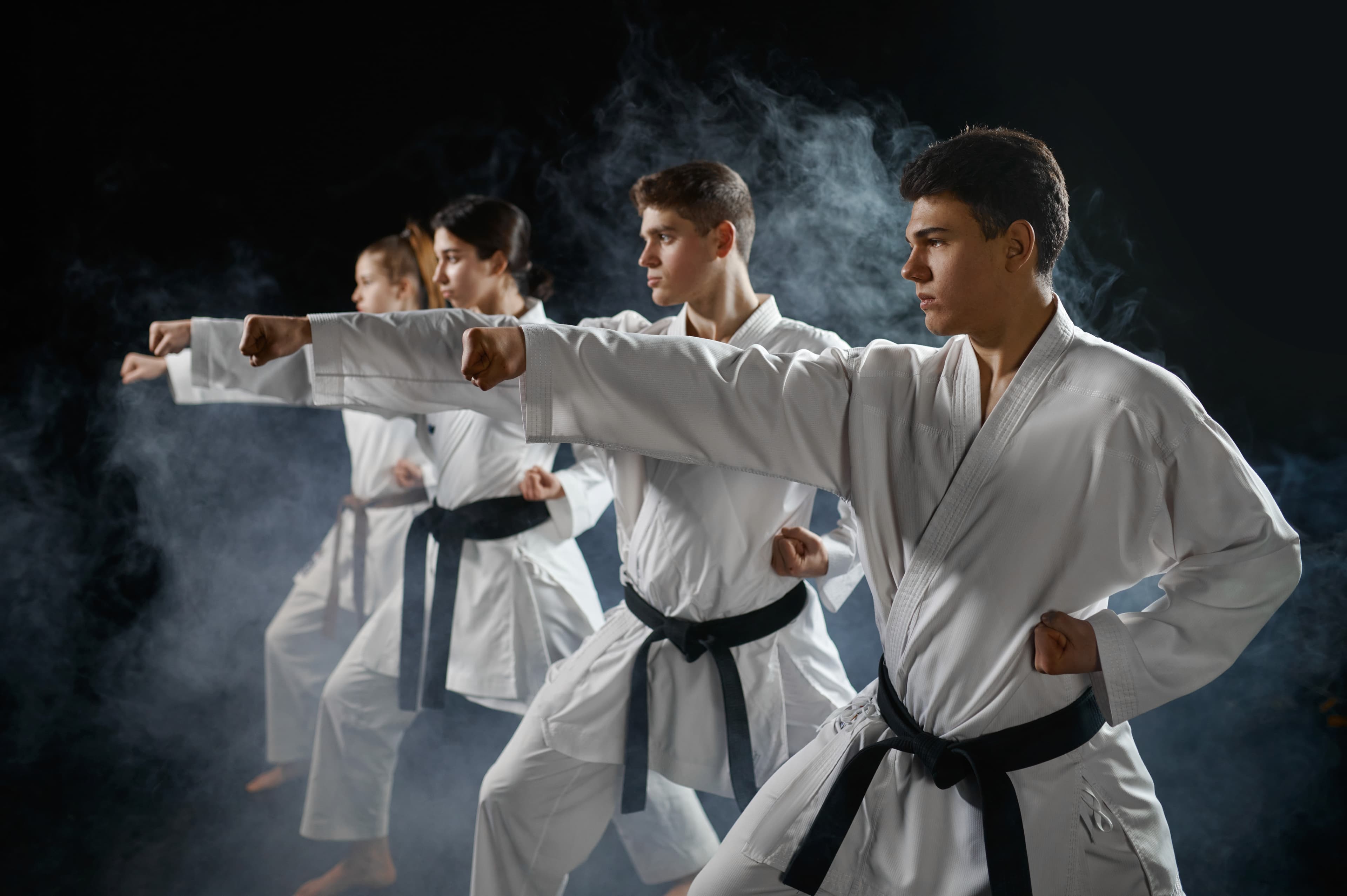 Sun and Stars Karate Center Branch 1 logo