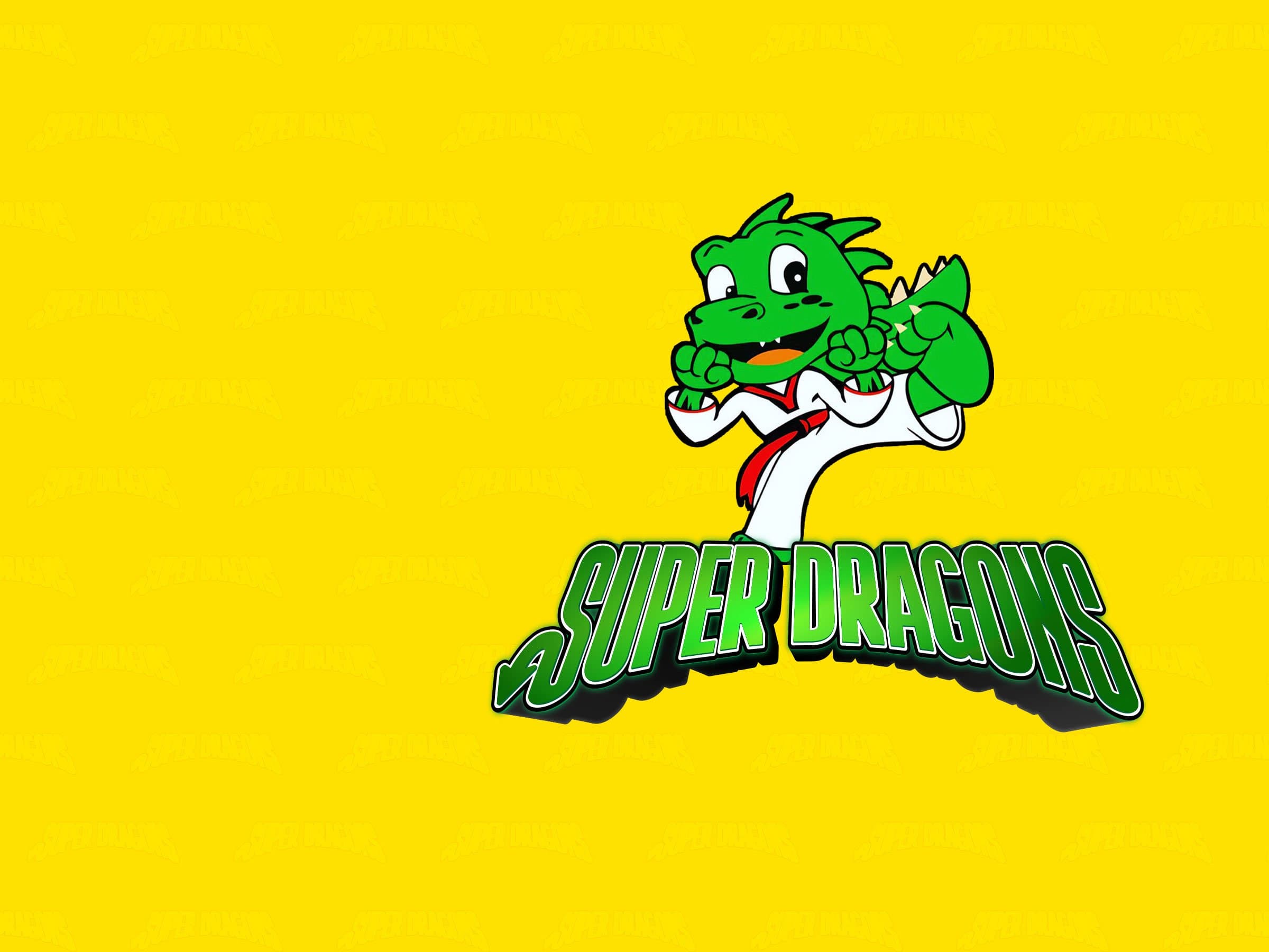 Main image of Super Dragons Derby