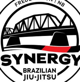 Synergy BJJ logo