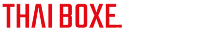 TBTraining | Thai Boxe, TBTFit, Palestra, Corsi, Torino logo