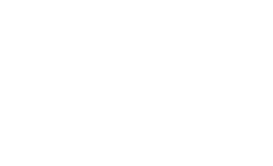 Team Black logo