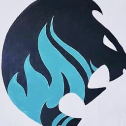 Team Cohi logo