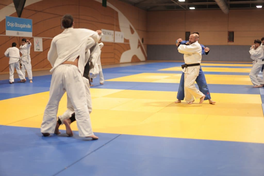 Main image of Team Judo Jujitsu