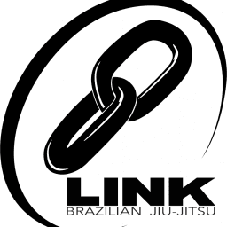 Team Link Miami logo