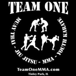 Team One Mixed Martial Arts logo