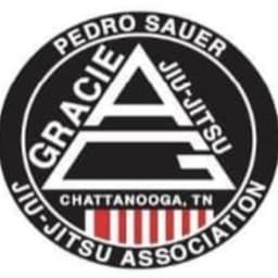 Team Pedro Sauer / Robbinsville, NJ logo