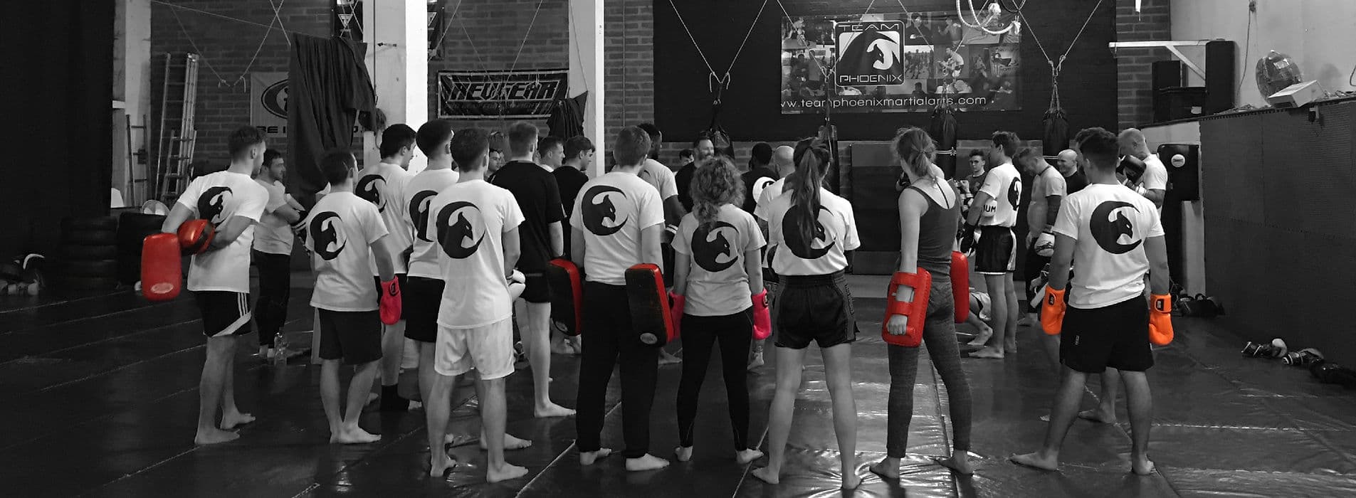 Main image of Team Phoenix Martial Arts