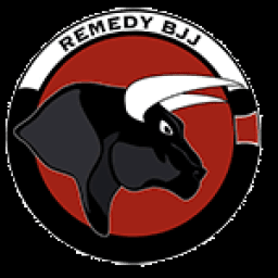 Team Remedy Brazilian Jiu jitsu, kickboxing, and MMA logo