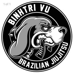 Team Vu logo