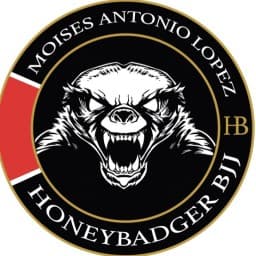 The Academy / HoneybadgerBJJ logo