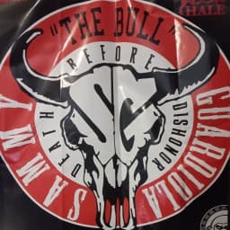 The Bulls den logo