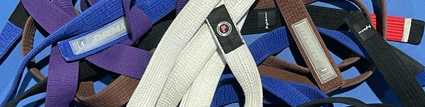 Main image of The Collaborative American Jiu Jitsu