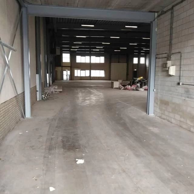 Main image of The Colosseum Gym