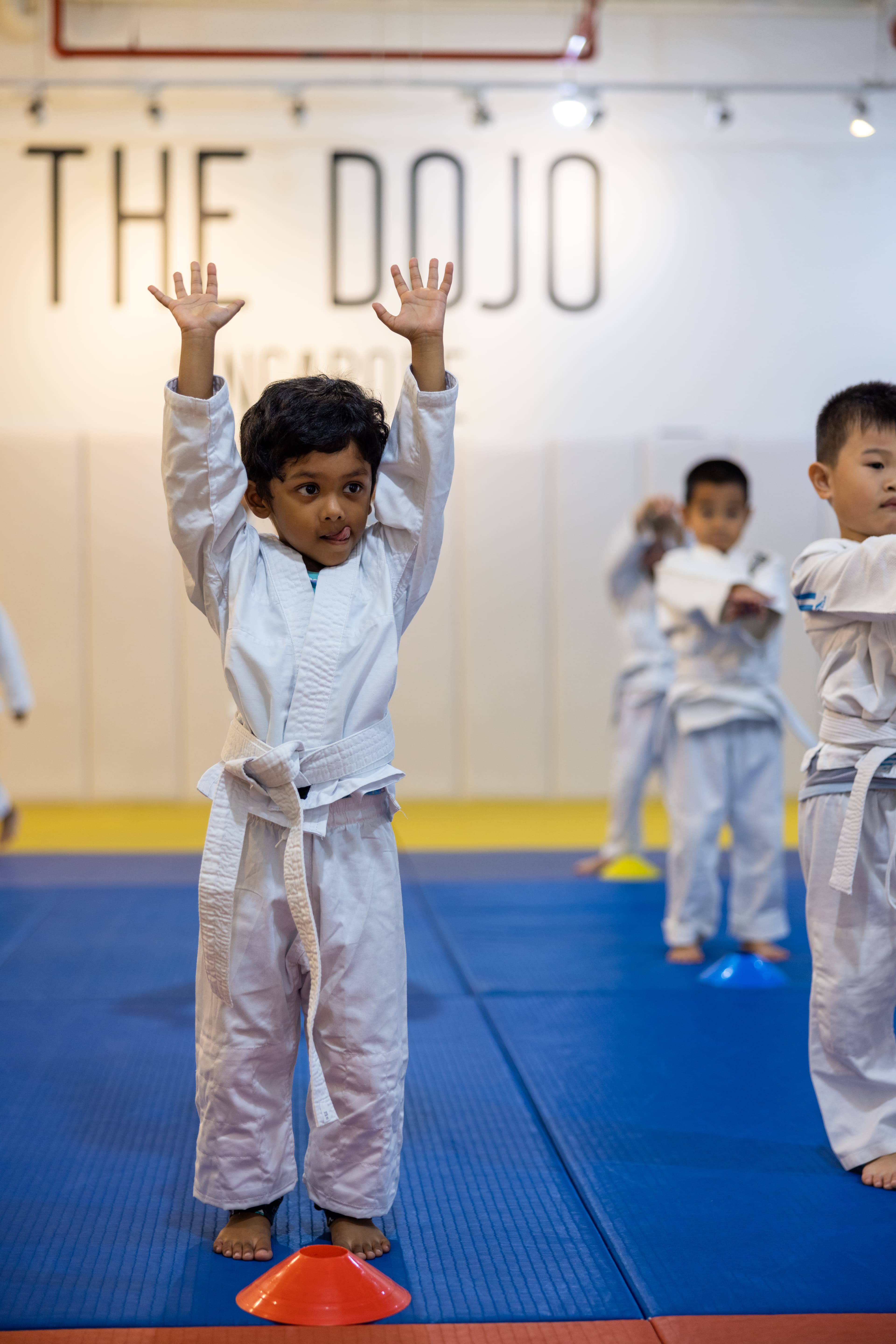 Main image of The Dojo - Singapore