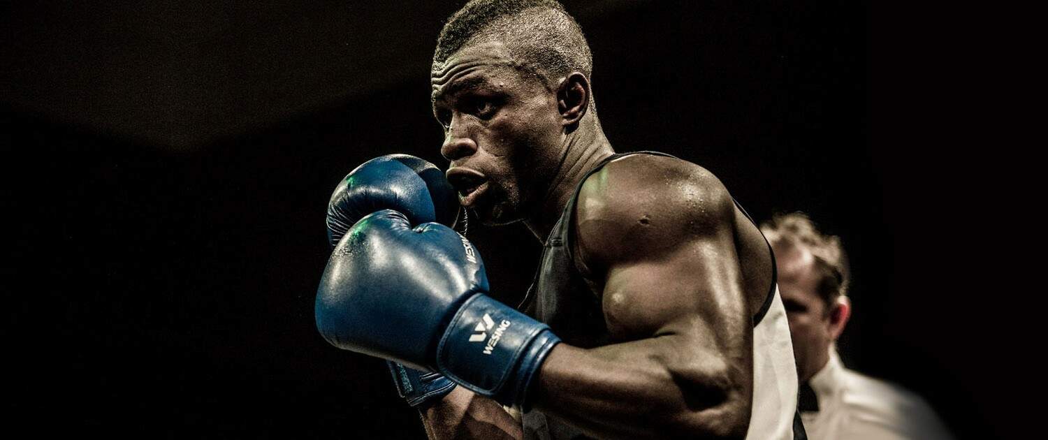 Main image of The Golden Gloves
