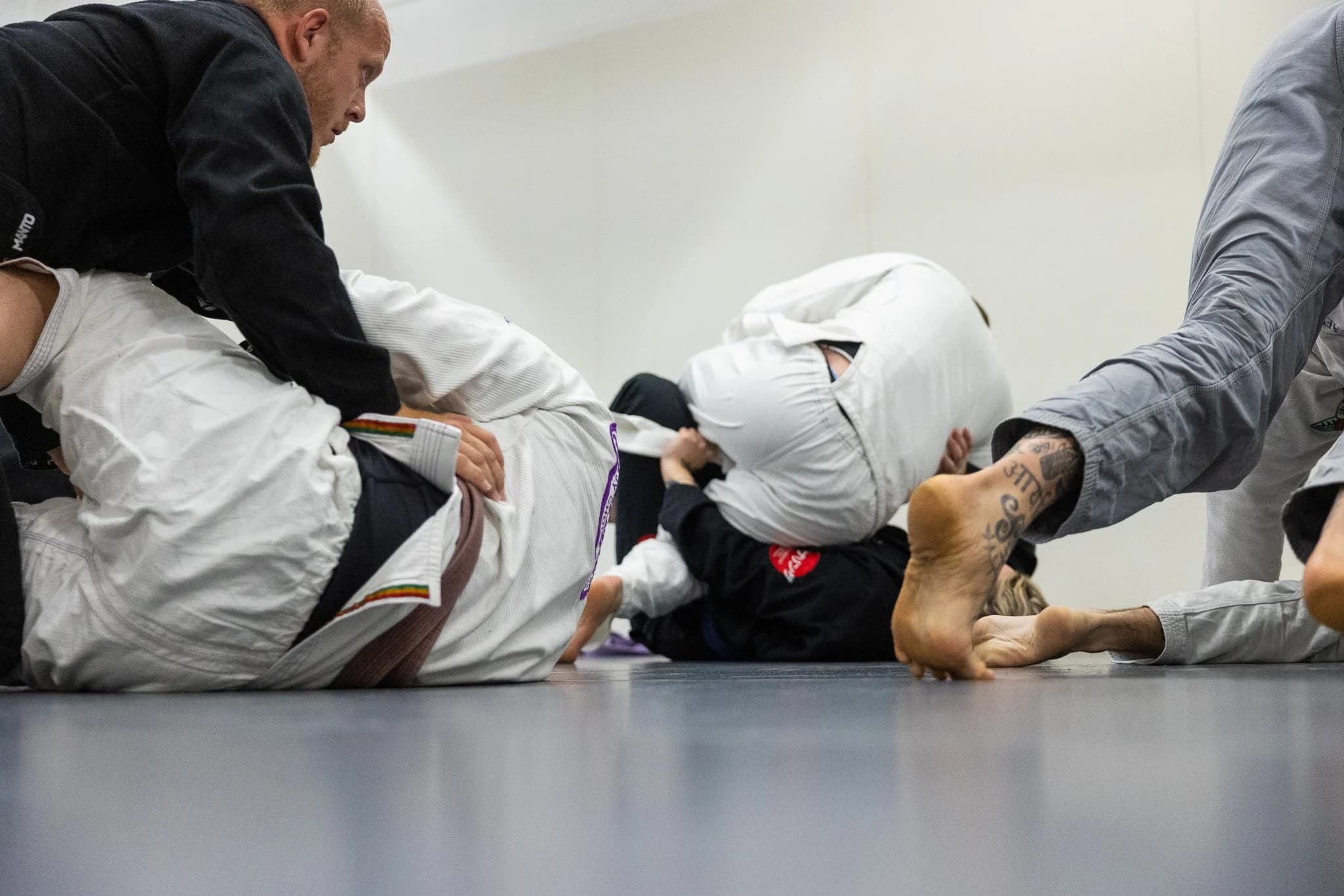 Main image of The Grappling Lab