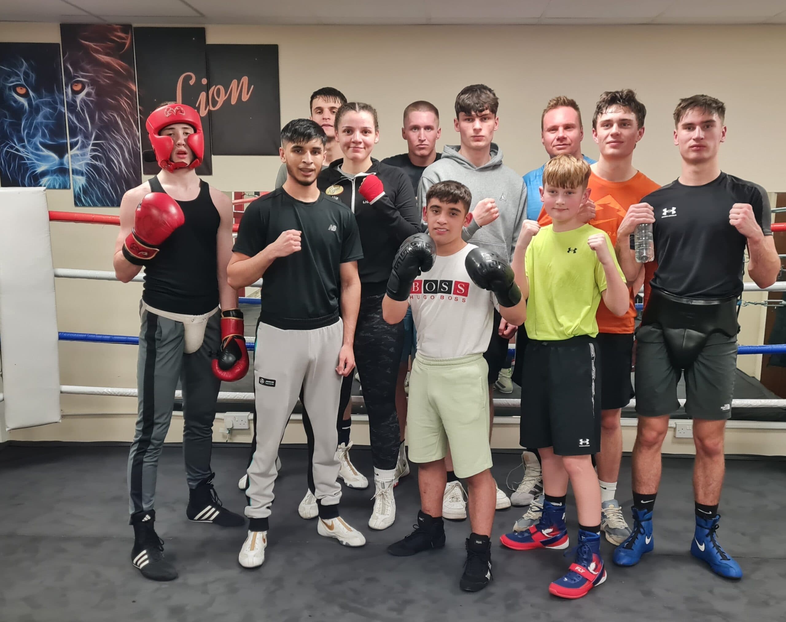 The Lion Gym & Boxing Club Bradford logo