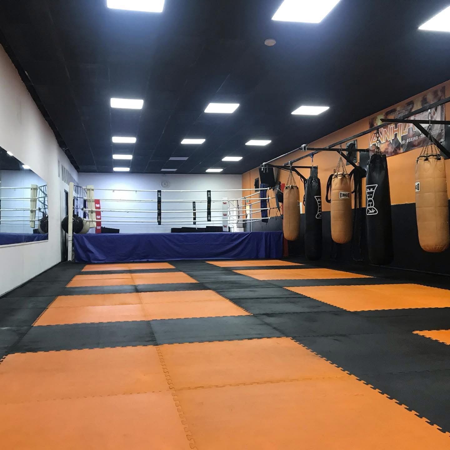 Main image of The Martial Arts Studio (TMAS)