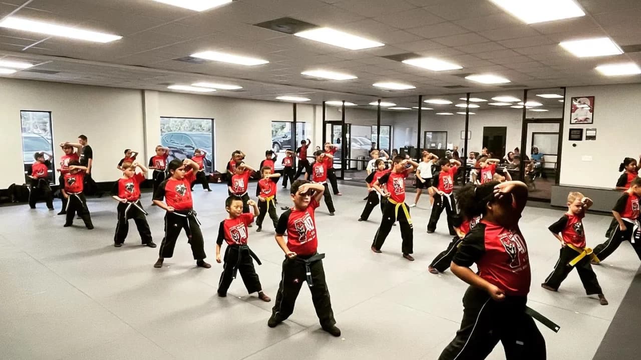 Main image of Tiger Rock Martial Arts of The Woodlands North