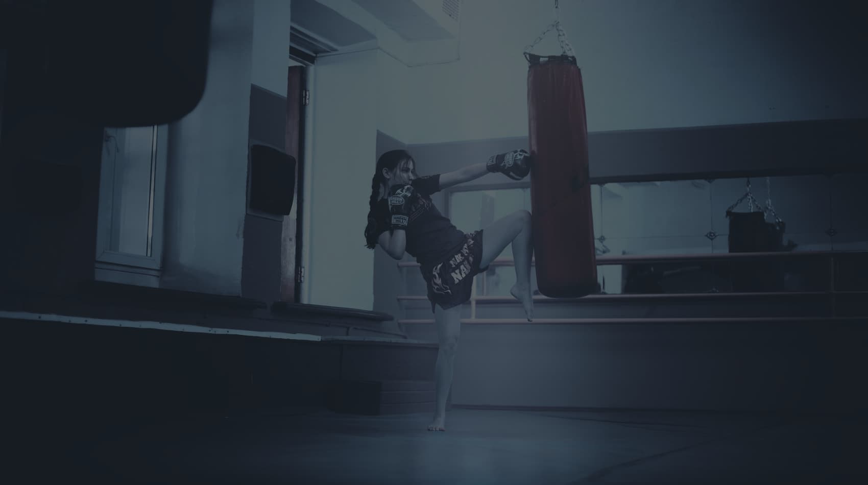 Tiger Studios Martial Arts logo