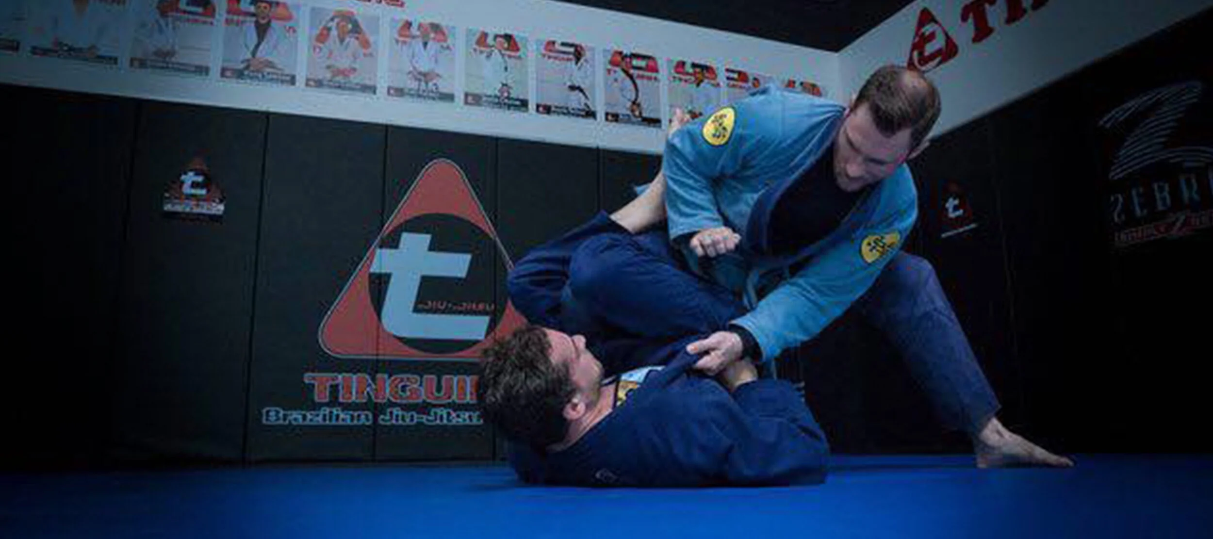 Tinguinha Brazilian JiuJitsu Academy - Yorba Linda / Anaheim Hills logo