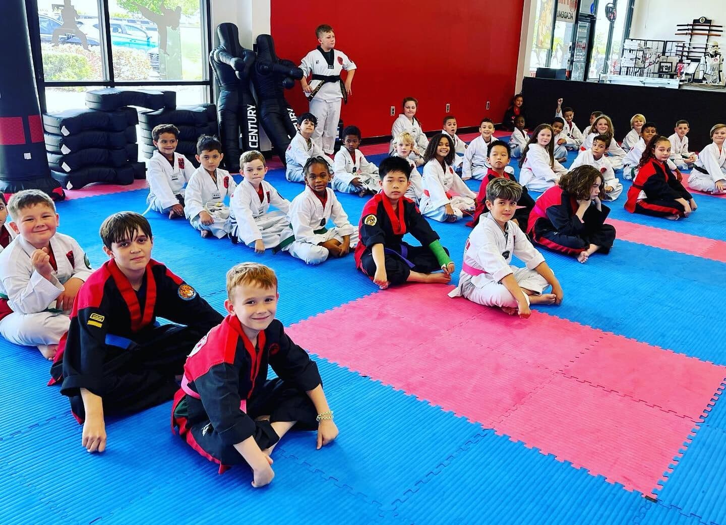 TKO Wado Ryu Karate logo
