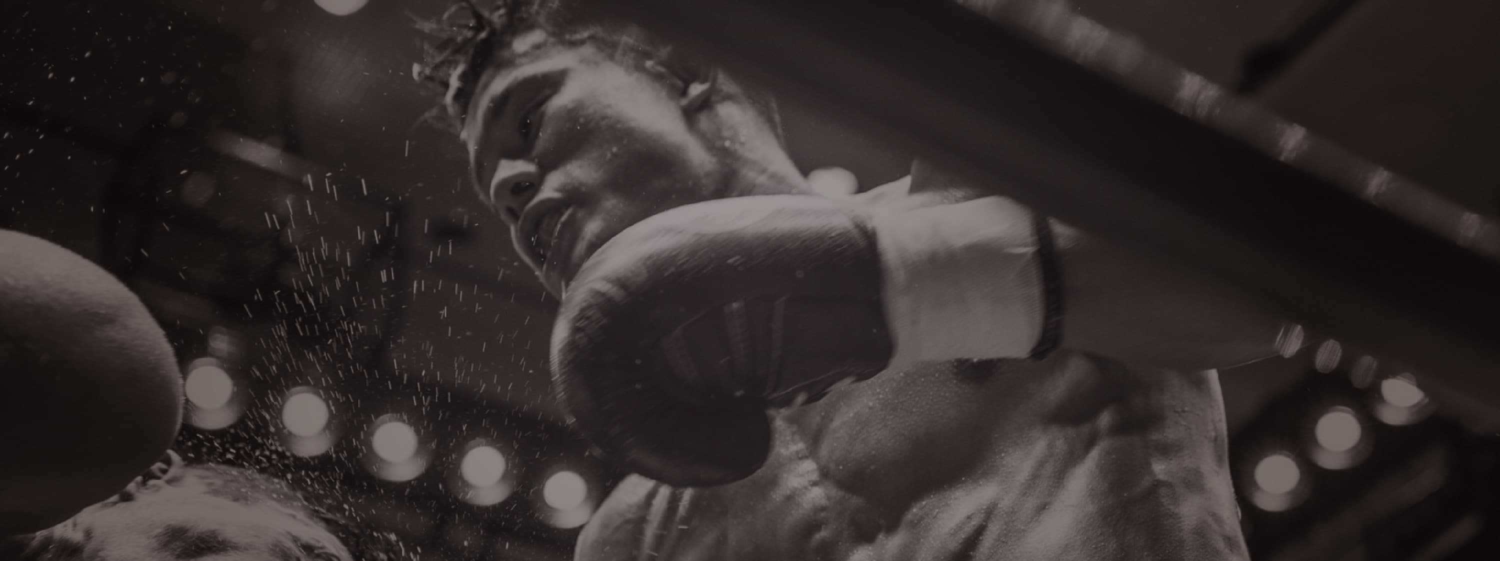 Main image of TMK BOXING GYM