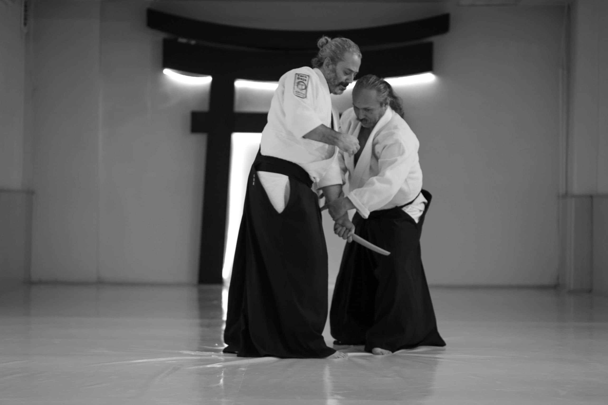 Main image of Torii Dojo
