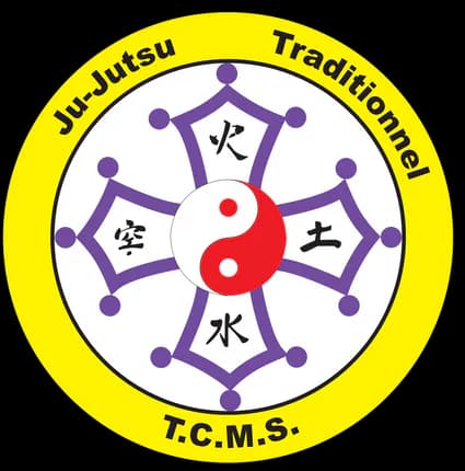 Main image of Toulouse Tcms Ju-Jutsu St Agne