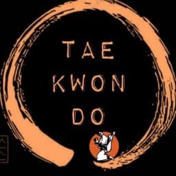 Traditional Tae Kwon Do Center of Dunedin logo
