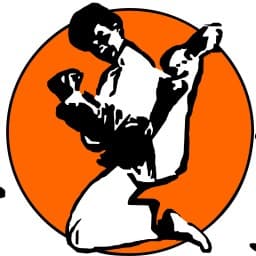 Traditional Taekwondo Center of Tampa logo