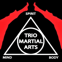 Trio Martial Arts Academy logo
