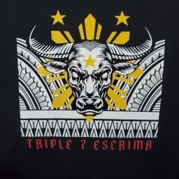 Triple 7 Escrima logo