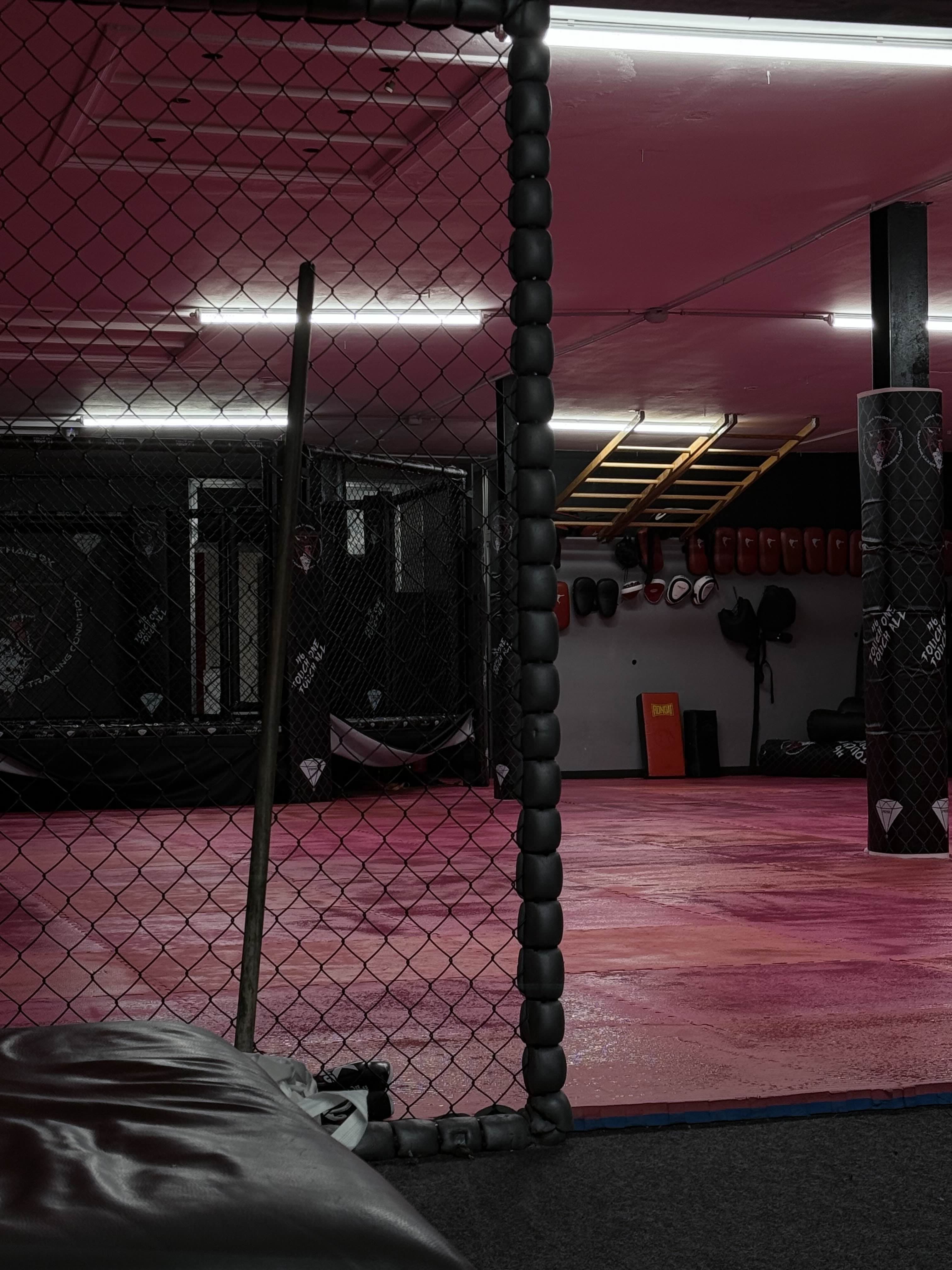 Main image of TUF Dragons MMA