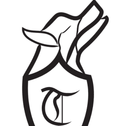 Tulsa Timberwolves logo