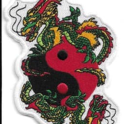 Two Dragons Karate logo