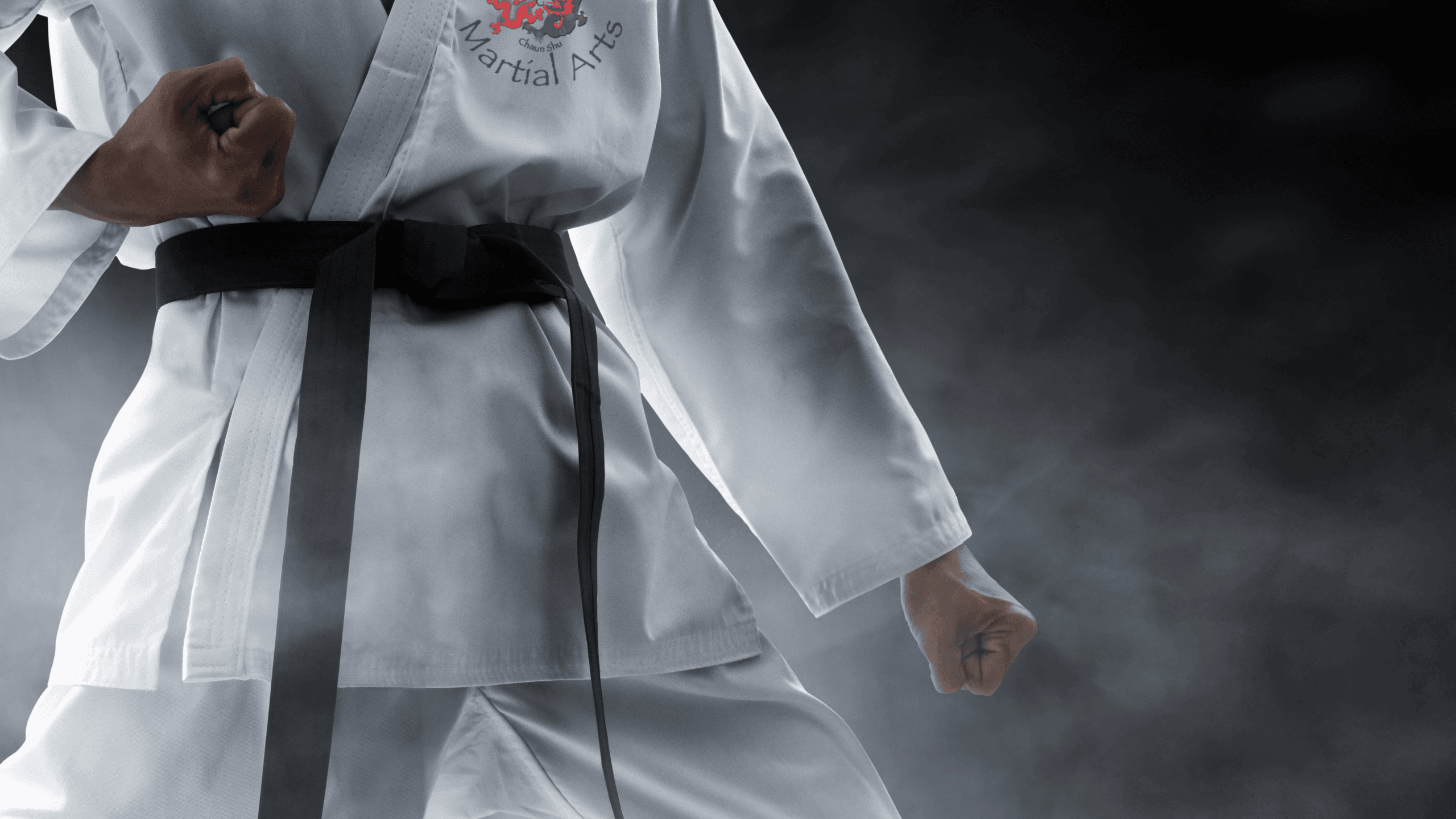 Two Dragons Martial Arts Studio logo
