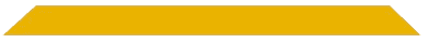 TX Black Belt Academy Flower Mound logo