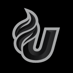 Ultra Brazilian Jiu-Jitsu & Mixed Martial Arts logo