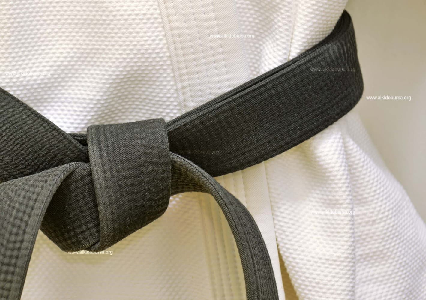 Uluyama Aikido kulübü logo