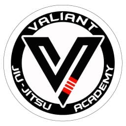 Valiant Jiu-Jitsu Academy LLC logo