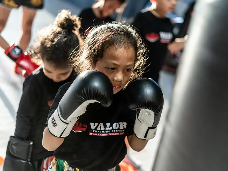 Main image of VALOR Fight Sports, LLC