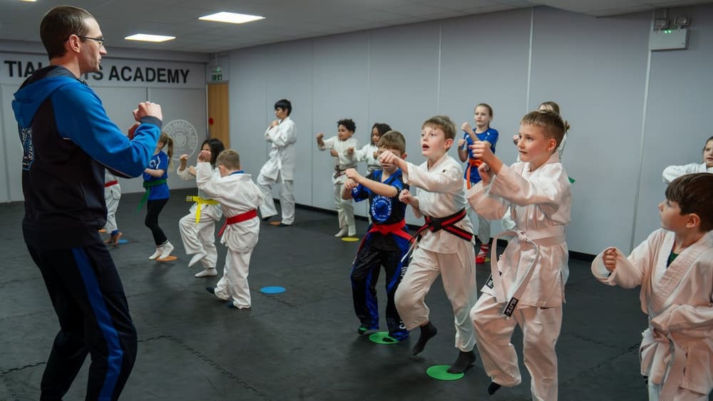 Varney's Martial Arts Wigston, Leicester, Karate, Kickboxing, Jiu Jitsu logo