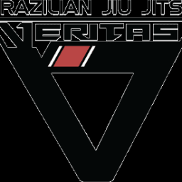 Veritas Mixed Martial Arts logo